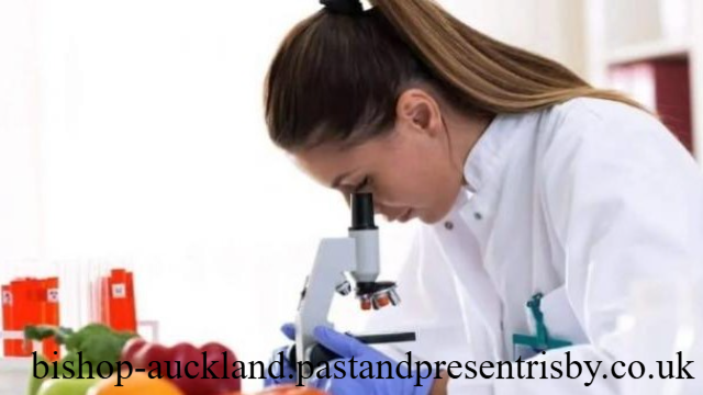 Menjelajahi Dunia Nutrisi dan Dietetika: Panduan Lengkap